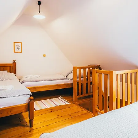 펜지온 틸리아 게스트하우스 3*